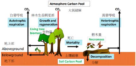 水土保持樹種